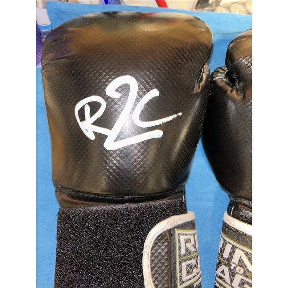 Ring To Cage Gloves 14oz - Picture 2 of 9